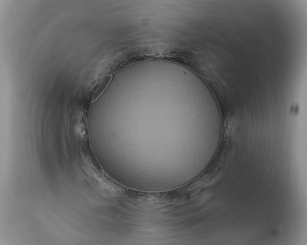 X0000112001202200908171411