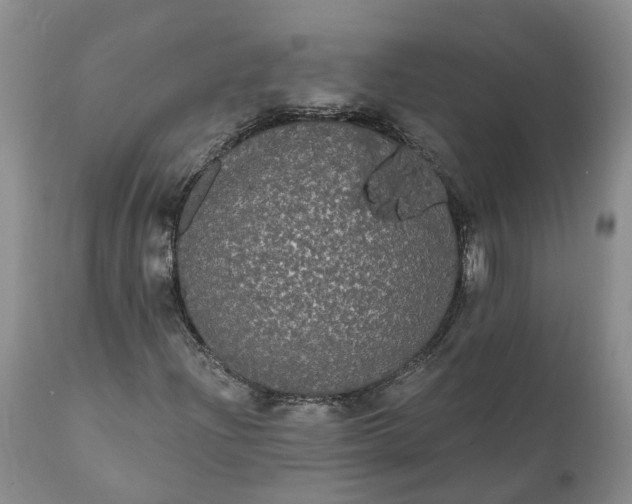 X0000112001204200908171411