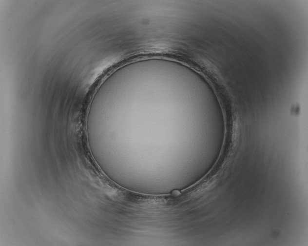 X0000112001210200908171411