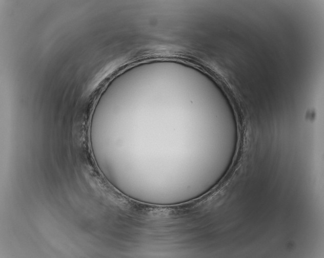 X0000112001211200908171411