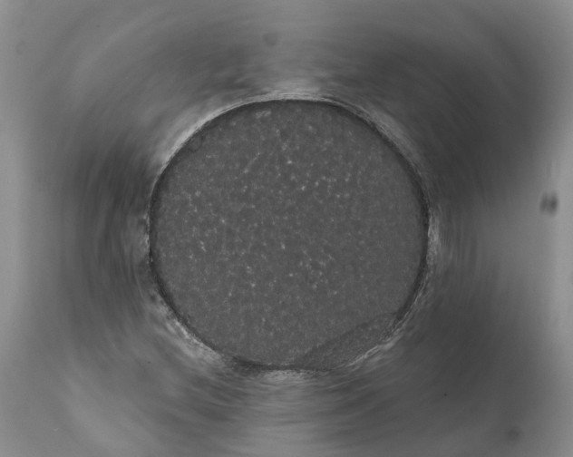 X0000112001212200908171411