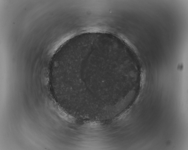 X0000112001213200908171411