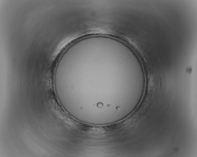 X0000112001215200908171411