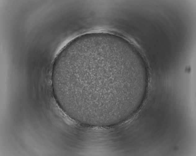 X0000112001216200908171411