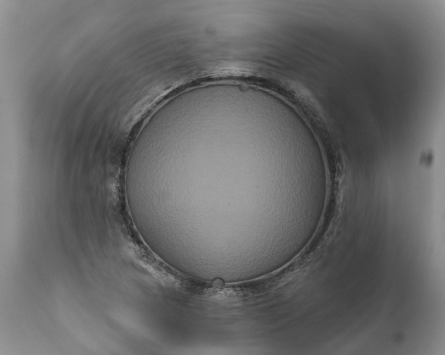 X0000112001217200908171411