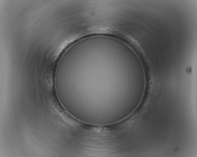 X0000112001218200908171411