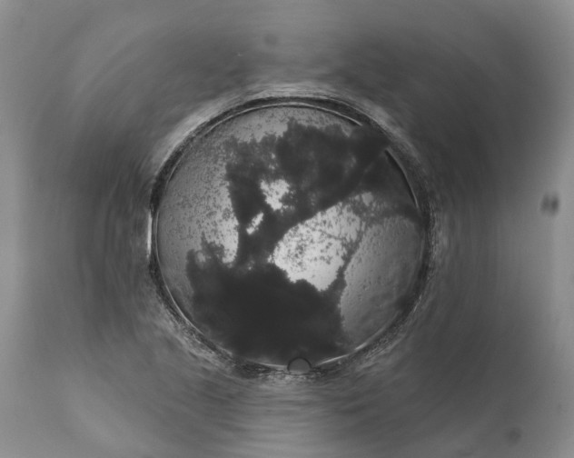 X0000112001221200908171411