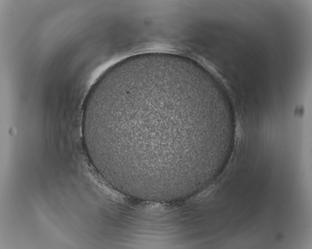 X0000112001222200908171411