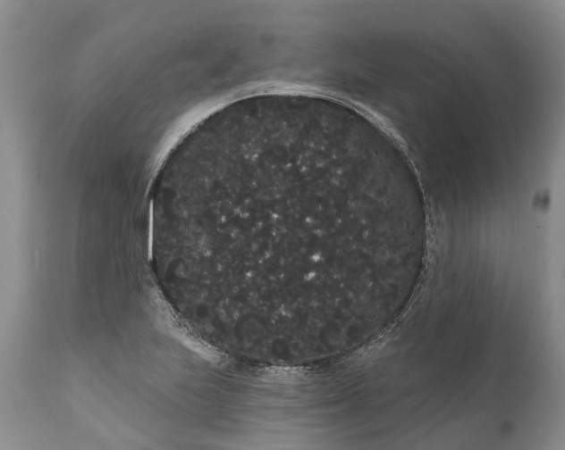 X0000112001223200908171411