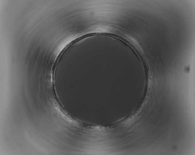 X0000112001226200908171411