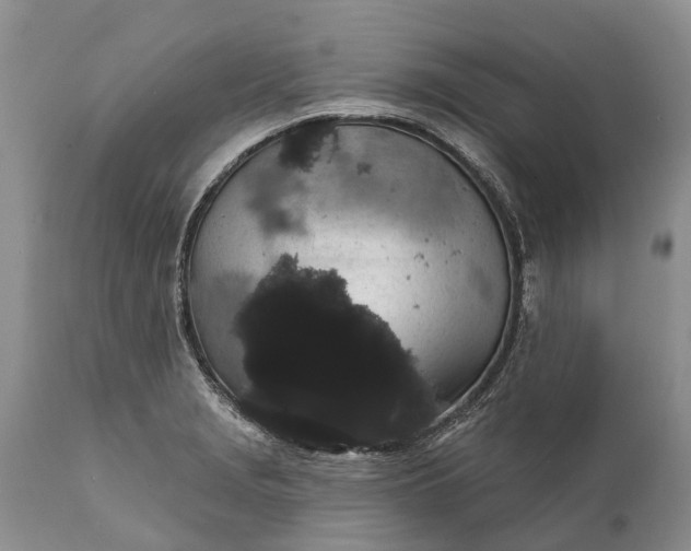 X0000112001229200908171411