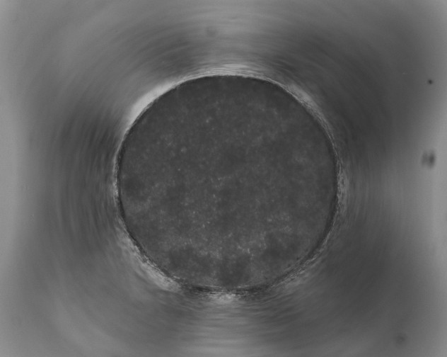 X0000112001230200908171411