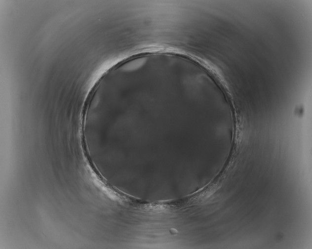 X0000112001231200908171411