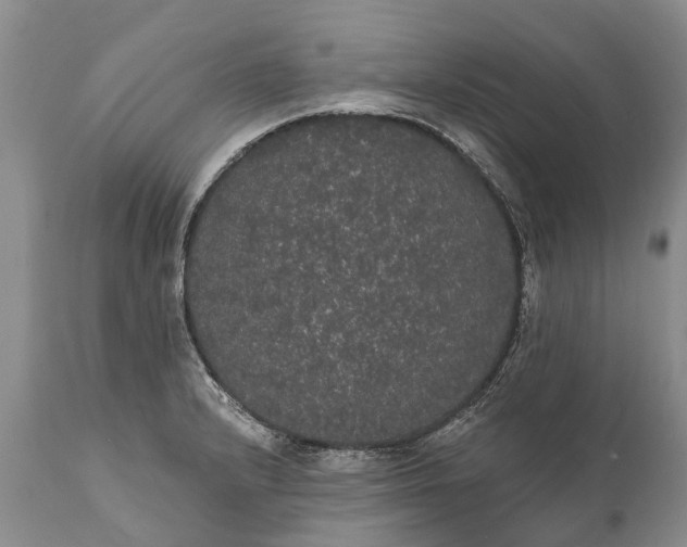 X0000112001232200908171411