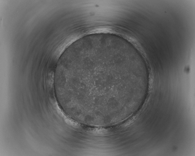 X0000112001233200908171411