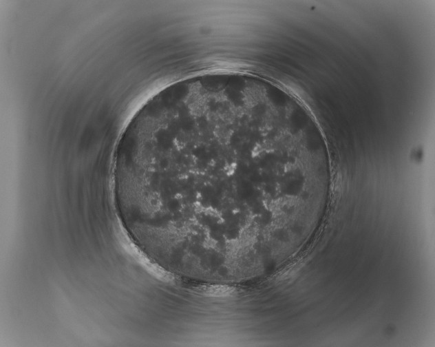 X0000112001235200908171412