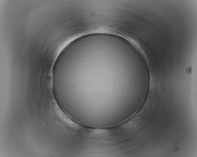 X0000112001238200908171412