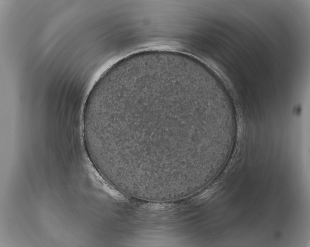 X0000112001240200908171412