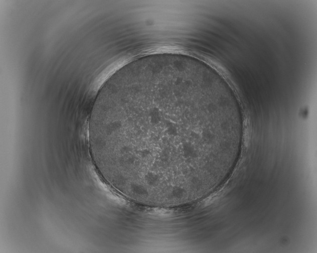 X0000112001241200908171412