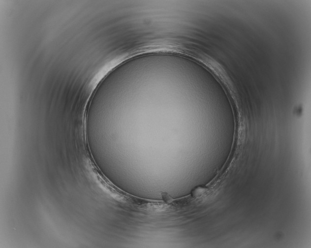 X0000112001242200908171412