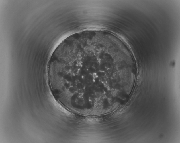 X0000112001243200908171412