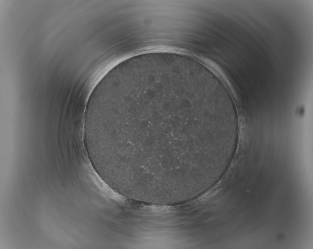 X0000112001244200908171412