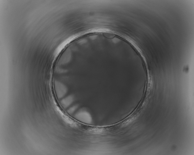 X0000112001245200908171412