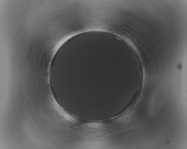 X0000112001246200908171412