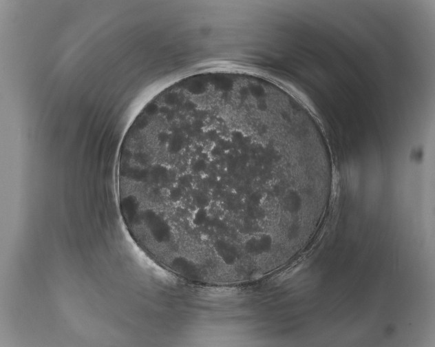 X0000112001247200908171412