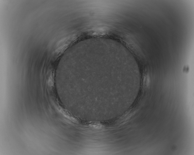 X0000112001250200908171411