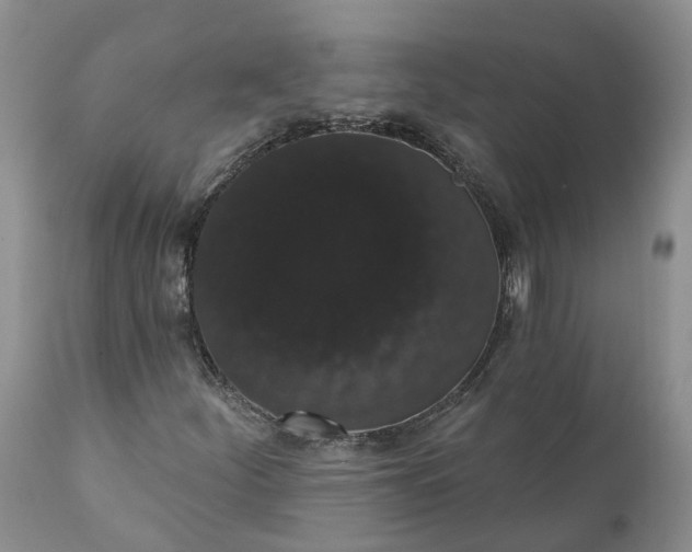 X0000112001252200908171411