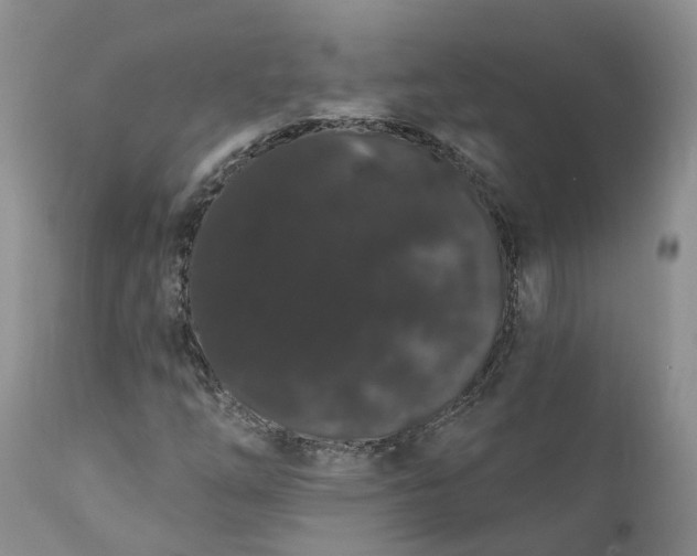 X0000112001254200908171411