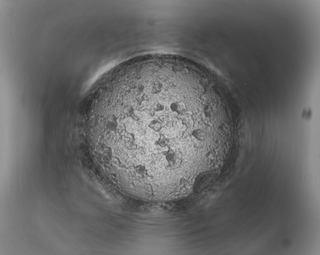 X0000112001255200908171411