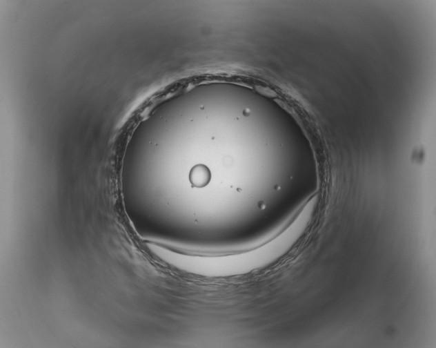 X0000112001256200908171411