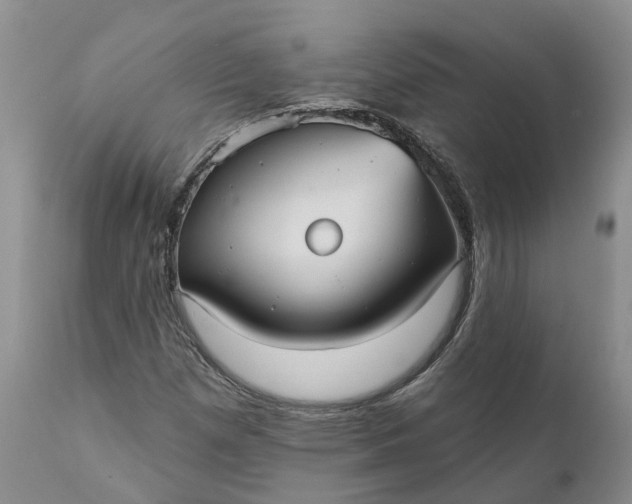 X0000112001257200908171411