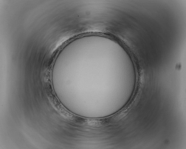 X0000112001258200908171411