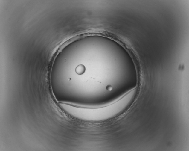 X0000112001260200908171410