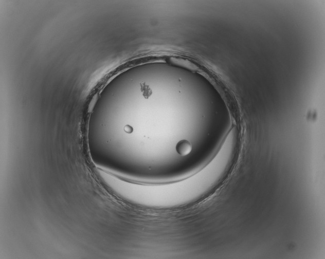 X0000112001261200908171410