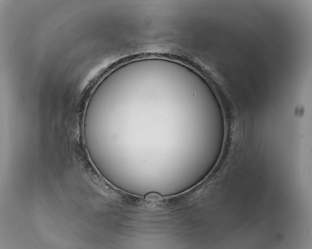 X0000112001262200908171410