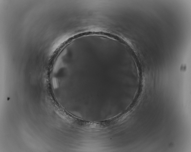 X0000112001263200908171410