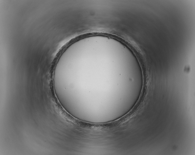 X0000112001264200908171410