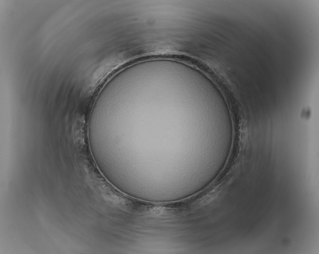 X0000112001265200908171410