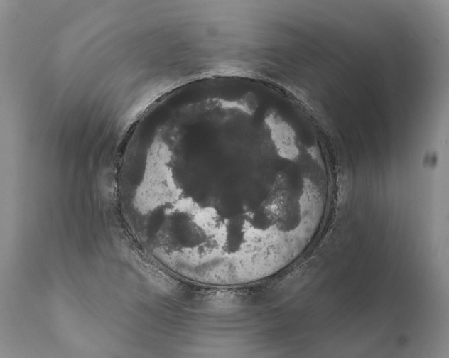 X0000112001266200908171410