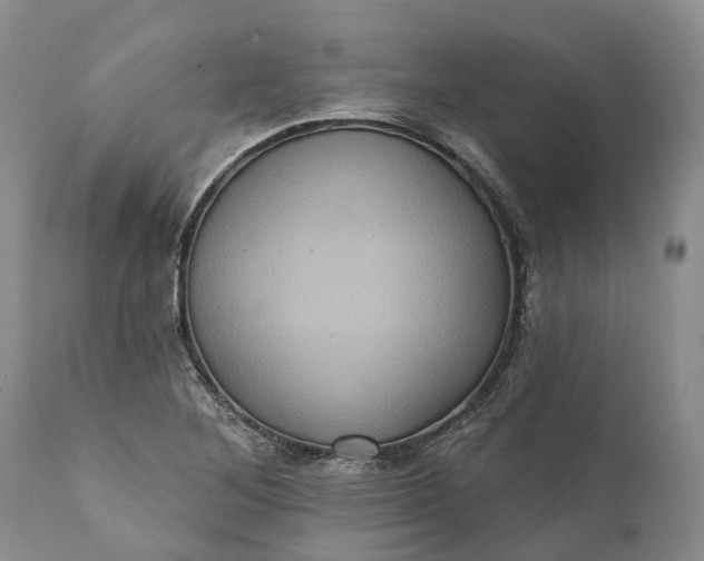 X0000112001268200908171410