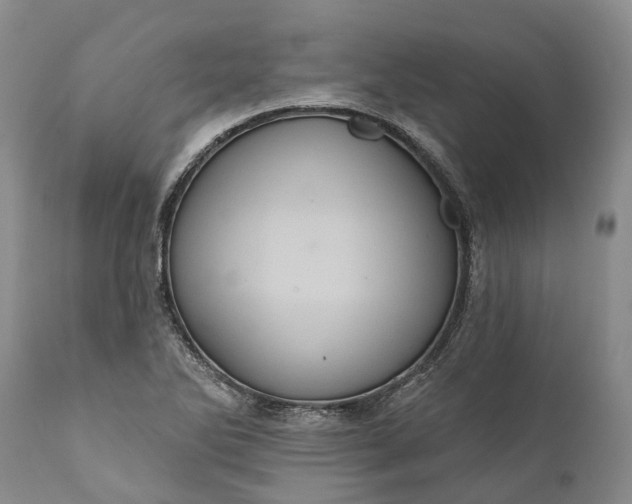 X0000112001270200908171410