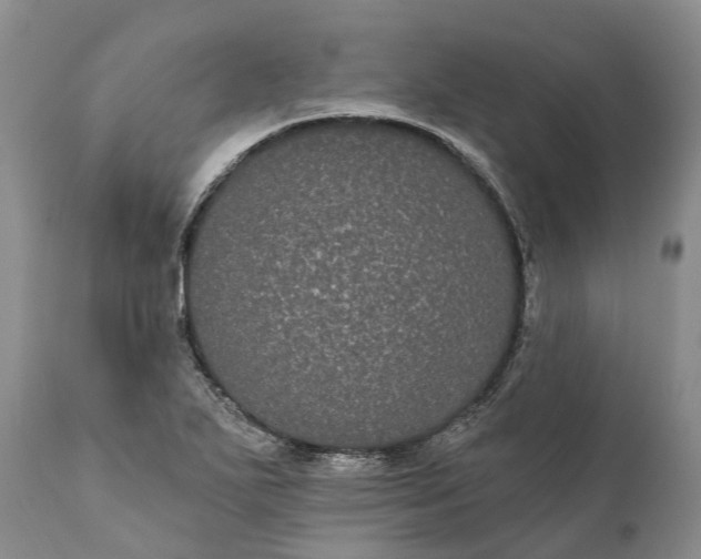 X0000112001271200908171410