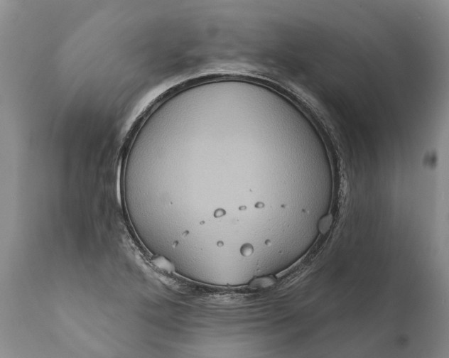 X0000112001272200908171410