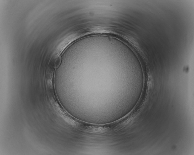 X0000112001273200908171410