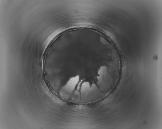 X0000112001275200908171410