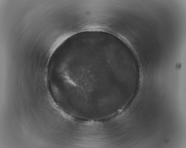 X0000112001277200908171410